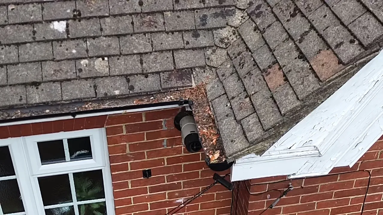Blocked gutter containing vegetation and debris at a 1908 semi-detached house in Havant