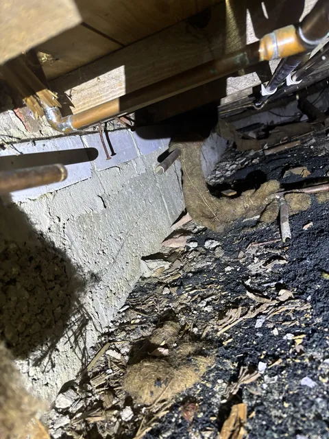 Pipework visible beneath a loose floorboard in a suspended timber floor