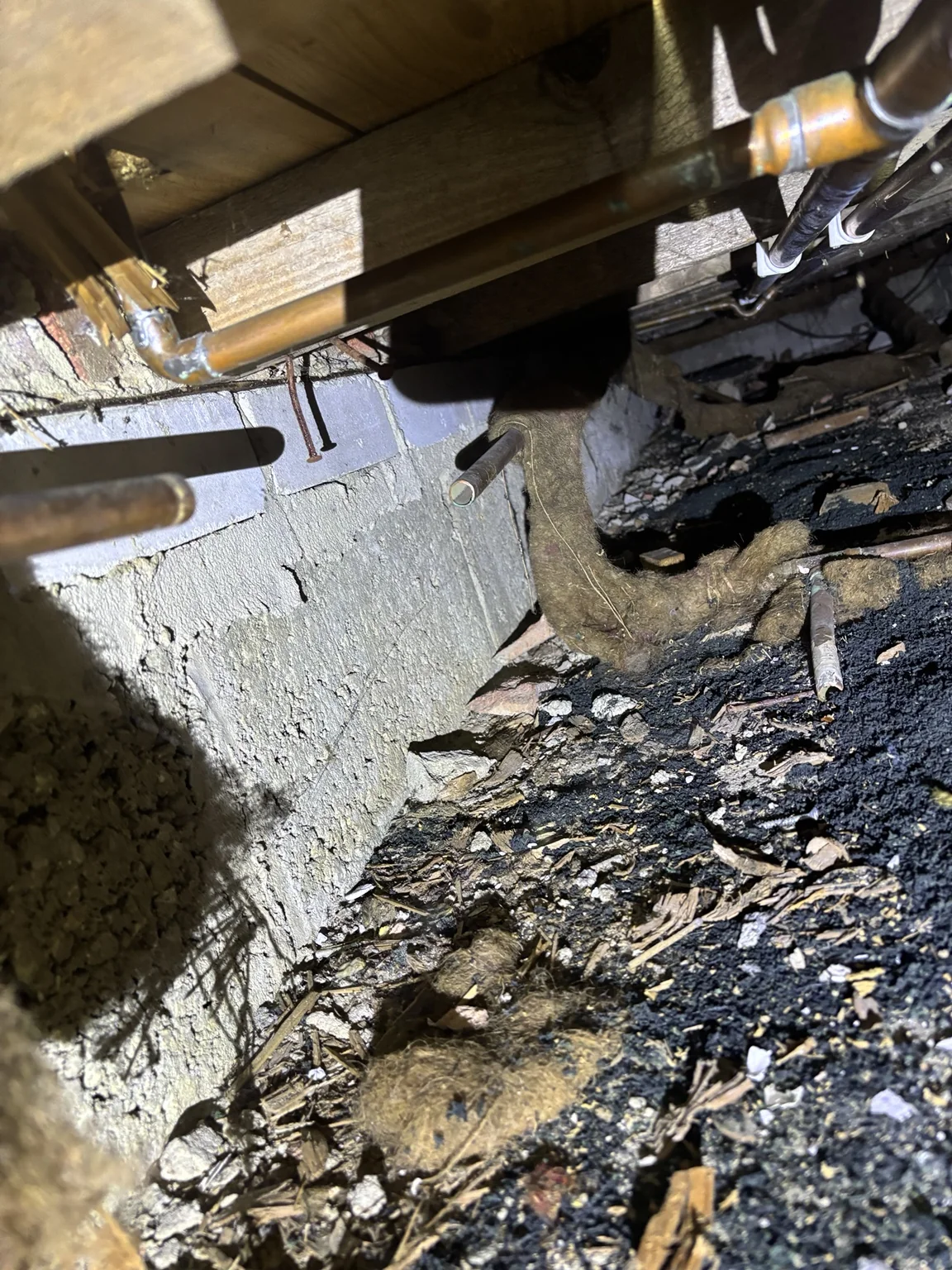 Uninsulated pipework visible beneath a loose floorboard in a suspended timber floor at a 1970s Waterlooville property
