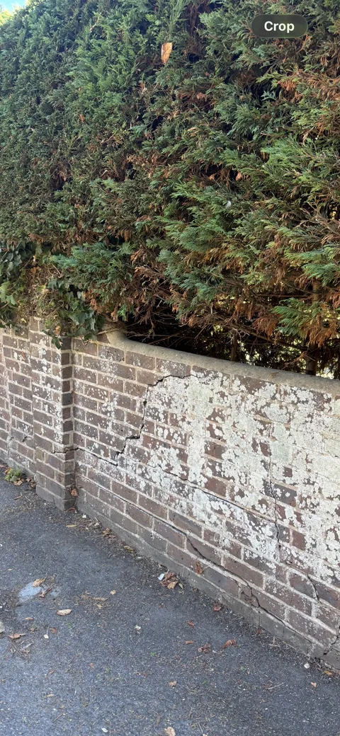 Cracking to a brick front boundary wall beside dense established vegetation at a Worthing property