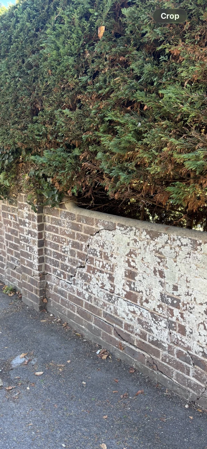 Cracking to a brick front boundary wall beside dense established vegetation at a Worthing property